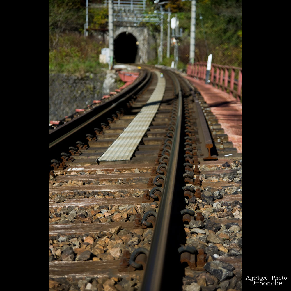 f0086721_3341954.jpg