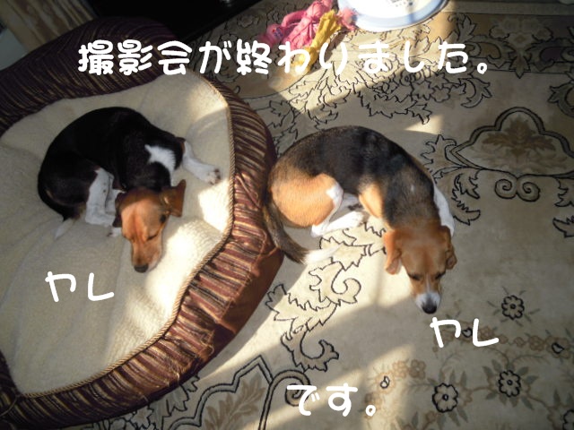 c0166622_12301539.jpg