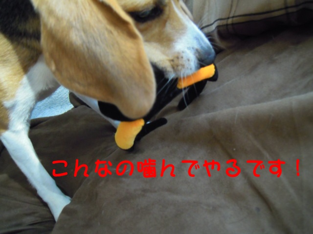 c0166622_1230981.jpg