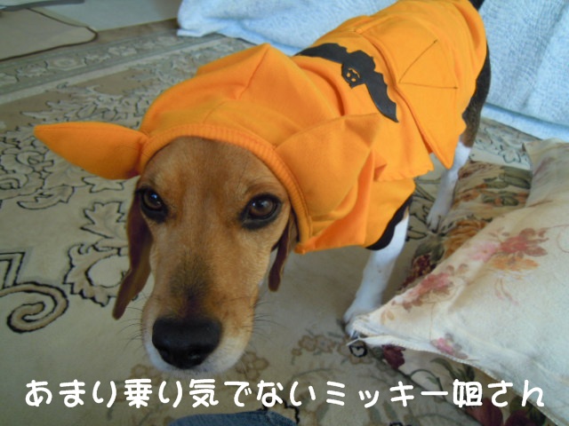 c0166622_12321737.jpg