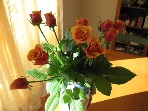 e0240925_19532038.jpg