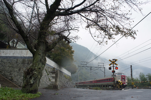 a0222229_0501896.jpg
