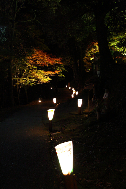 紅葉の高雄巡り －神護寺・ライトアップ（後編）－_b0169330_23254919.jpg