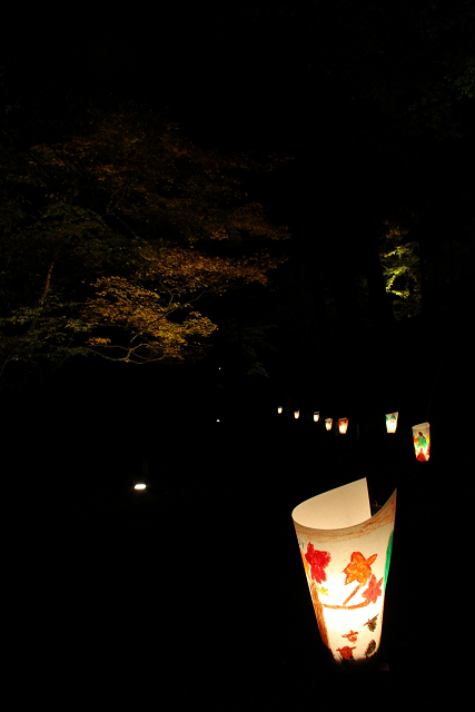 紅葉の高雄巡り －神護寺・ライトアップ（後編）－_b0169330_23255387.jpg