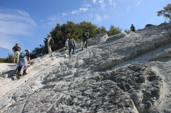 d0055236_2201865.jpg