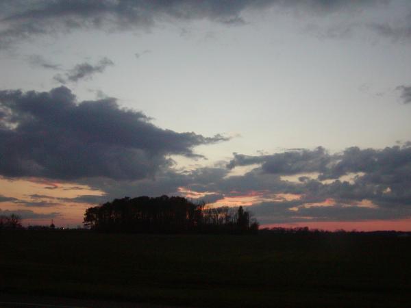 d0216939_14179.jpg