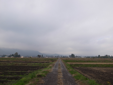 a0014840_13231799.jpg
