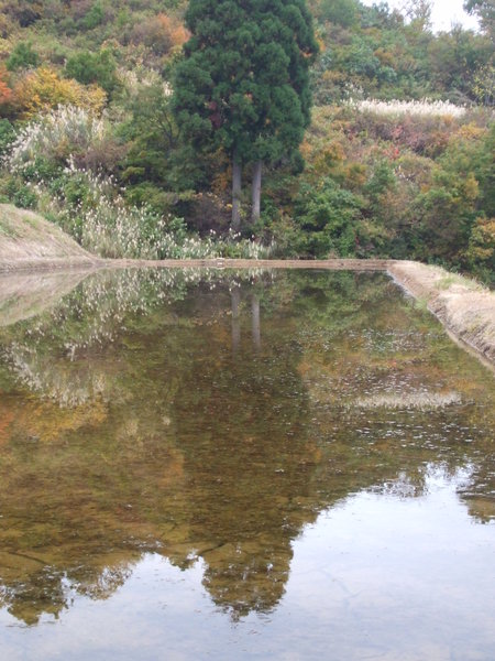 c0202242_16381612.jpg