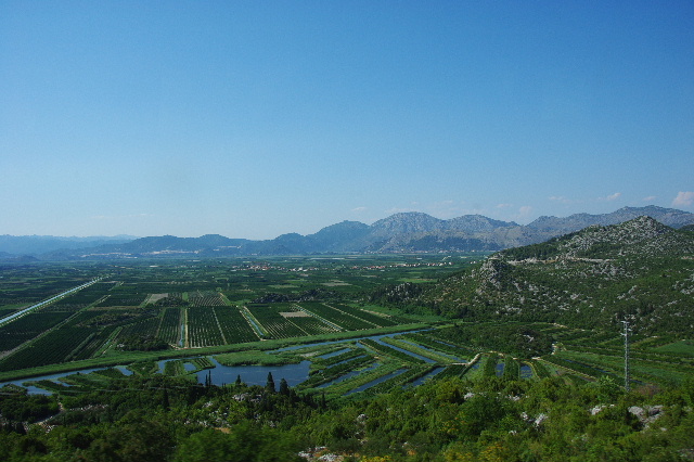 c0011649_44492.jpg