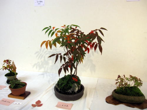 c0147952_19464441.jpg