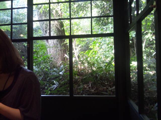 a0027555_18121385.jpg