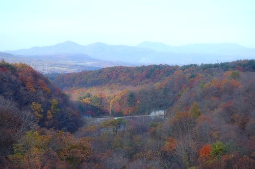 b0112758_96356.jpg