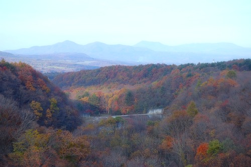 10/29（雨）　松川渓谷・紅葉狩り＾＾だよ_b0112758_96356.jpg