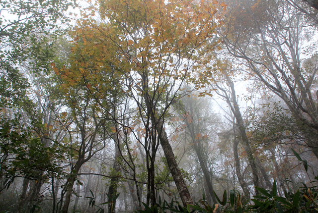 f0147858_1610071.jpg