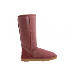 Ugg Classic Tall Bomber Jacket Prune Boot Are Available For Males_a0238259_14441142.jpg