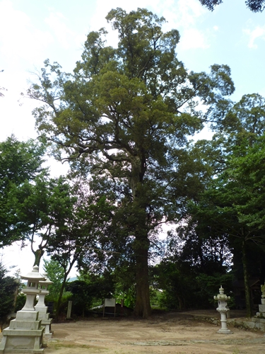 c0222861_13353513.jpg