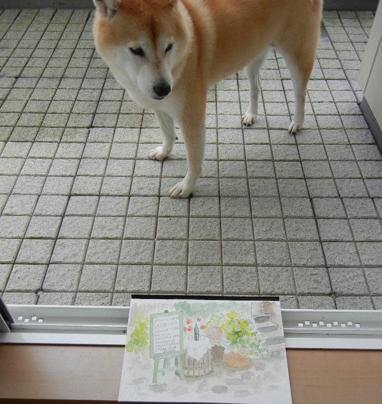 2011年10月31日(月)大人しく静養中6日目!_f0060461_9471999.jpg