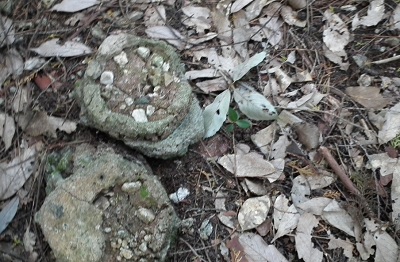 e0225164_13103660.jpg