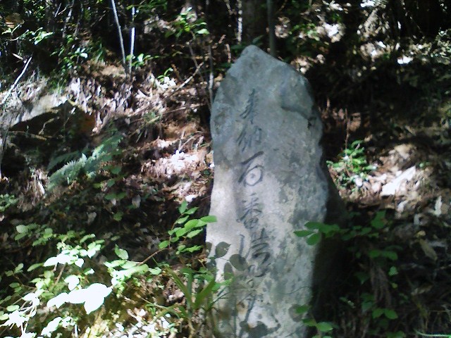 d0233770_1926136.jpg