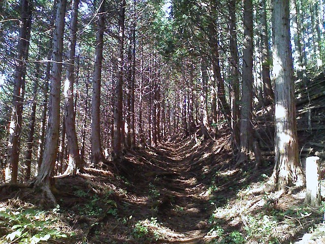 d0233770_19372213.jpg