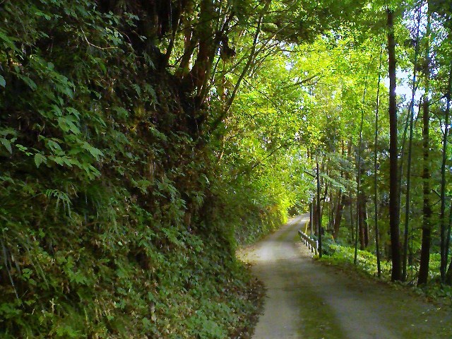 d0233770_20171994.jpg