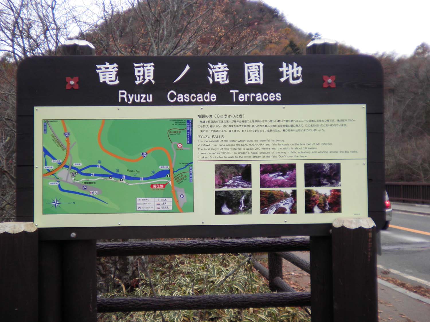 e0180472_2504012.jpg