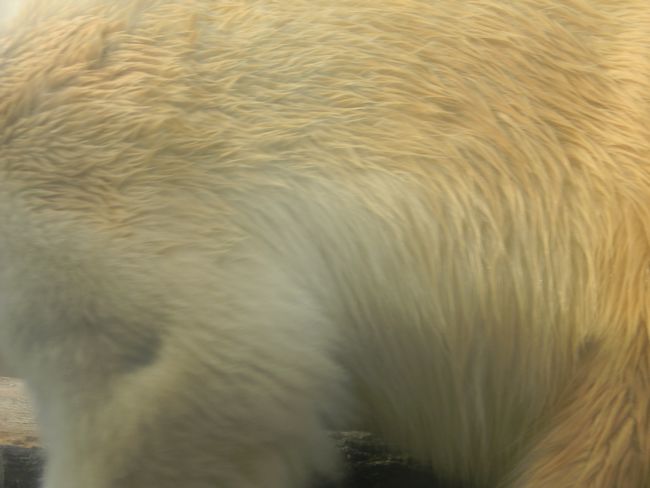 b0014576_6451926.jpg
