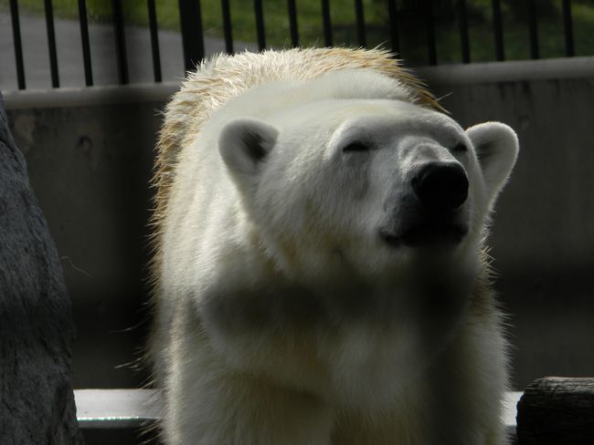 b0014576_6474950.jpg
