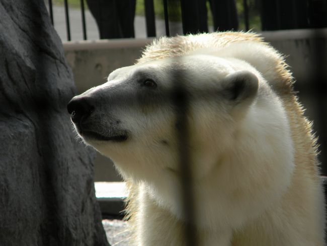 b0014576_6495032.jpg