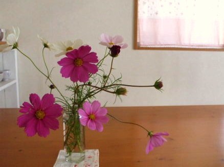 f0149482_934182.jpg