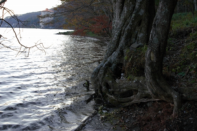 c0212083_0135232.jpg