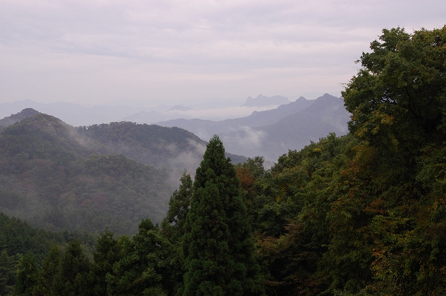 c0212083_1302521.jpg