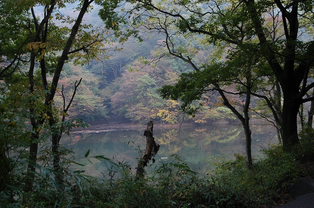 c0212083_1372187.jpg