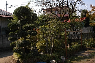 c0212083_1755822.jpg
