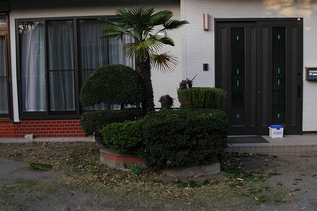 c0212083_175996.jpg