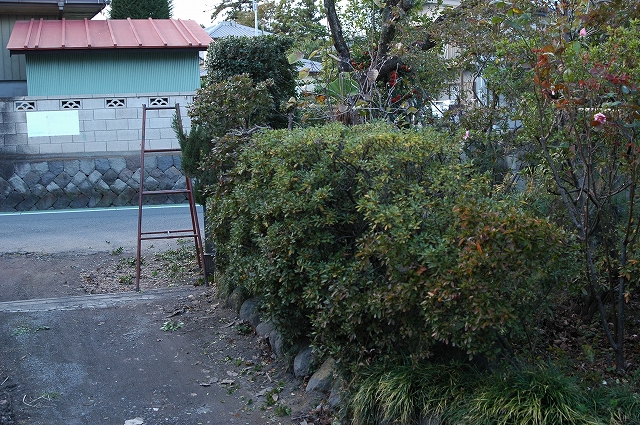 c0212083_1773934.jpg