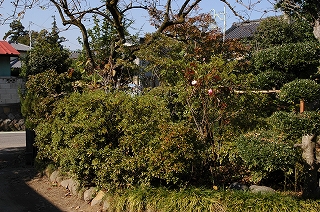 c0212083_177722.jpg
