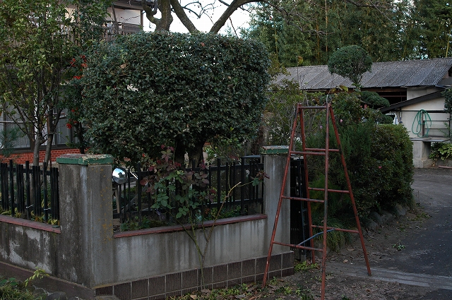 c0212083_178311.jpg
