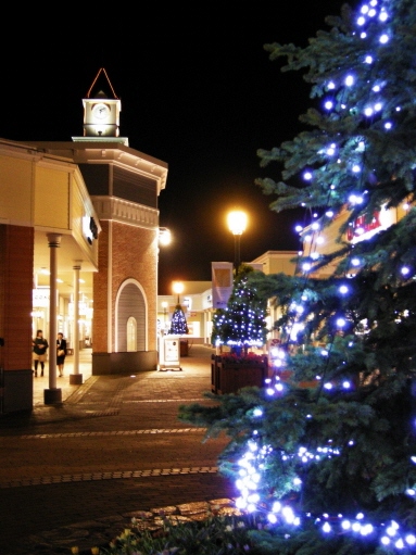 f0171283_10171827.jpg