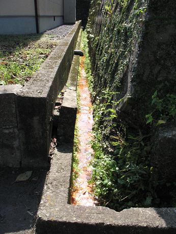 e0130185_0521953.jpg