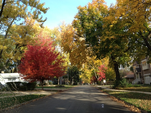 c0178690_827476.jpg