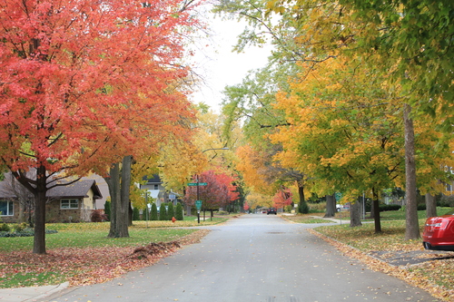 c0178690_8283374.jpg