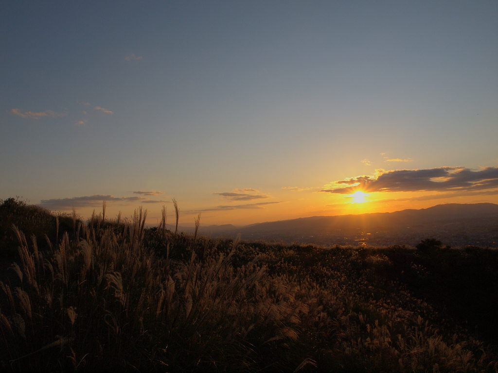 「夕陽に照らされて」_a0133692_2243031.jpg