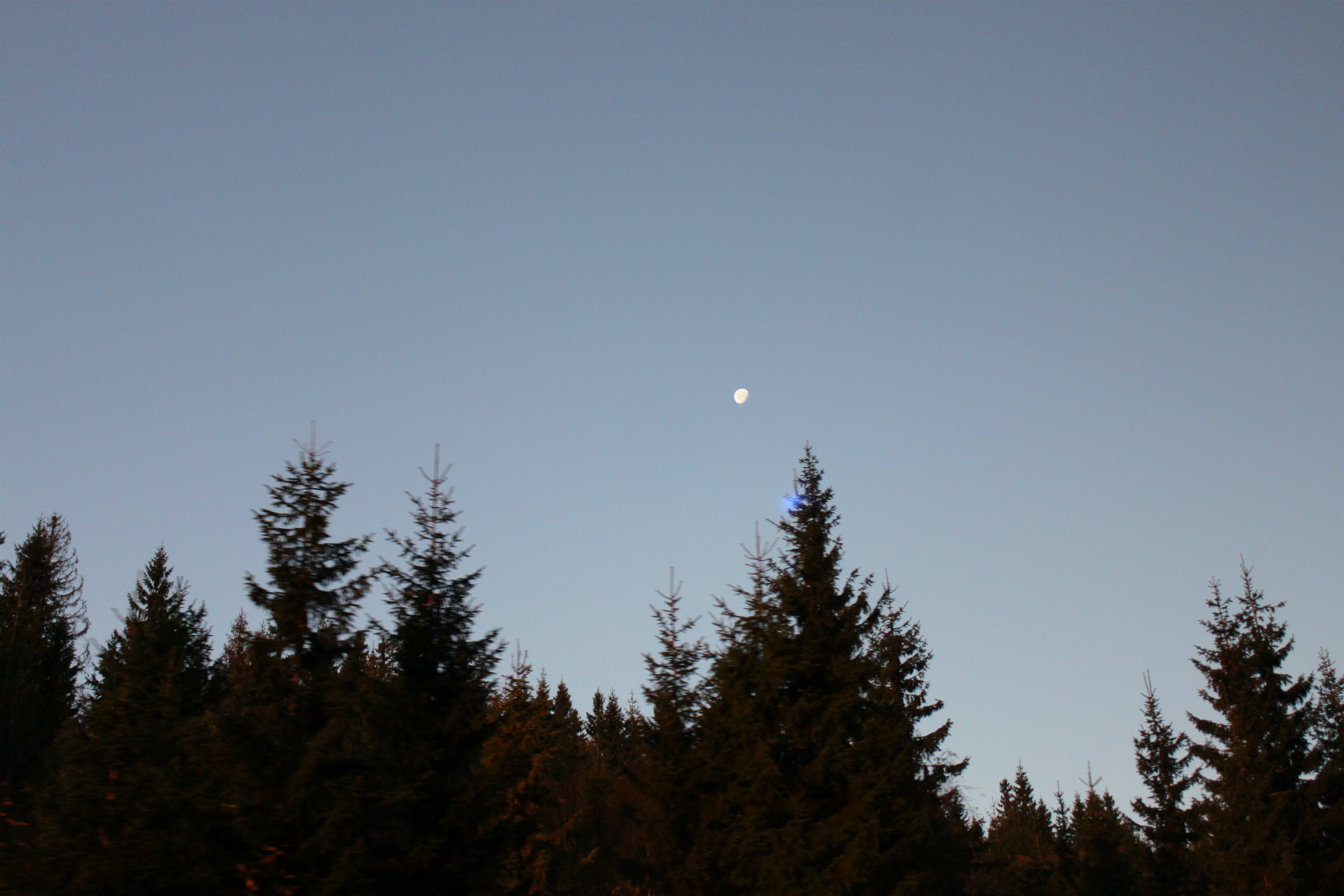 b0177792_12431055.jpg