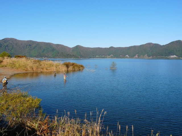 秋の本栖湖　水量リサーチ！_e0202393_18371283.jpg