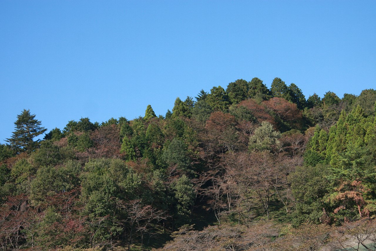 e0167295_22283722.jpg