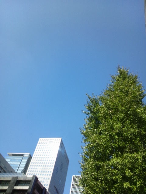 f0138995_13184131.jpg