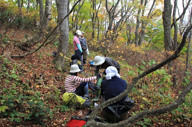 堂木沢山と紅葉川渓谷_e0137200_004073.jpg