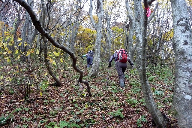 堂木沢山と紅葉川渓谷_e0137200_021728.jpg