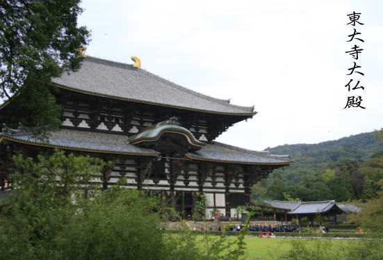 Camera*女子会♪ in Nara 奈良公園・東大寺（ラスト）_f0202500_21592591.jpg